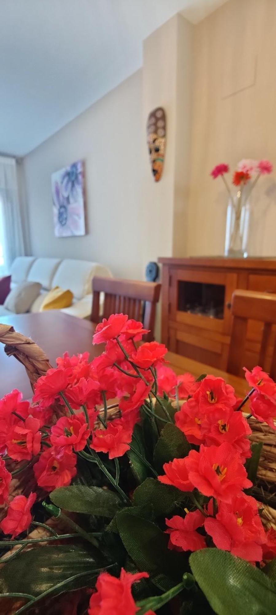 Ca L'esmolet Appartement *